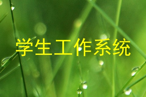 学生工作系统
