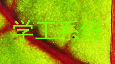 学工系统