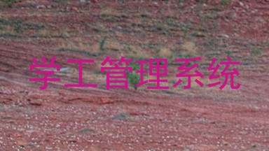 学工管理系统