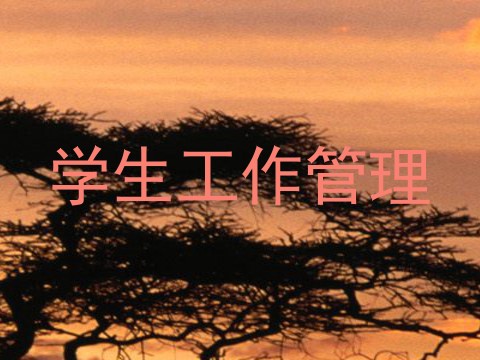 学生工作管理