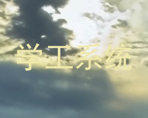 学工系统