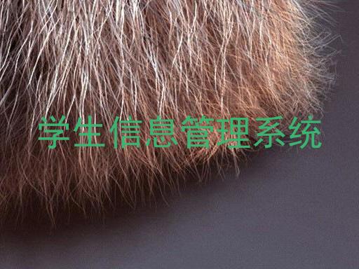 学生信息管理系统