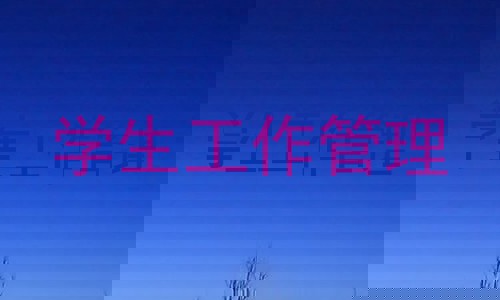 学生工作管理