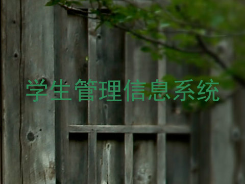 学生管理信息系统