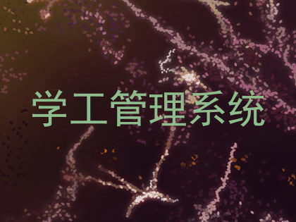 学工管理系统