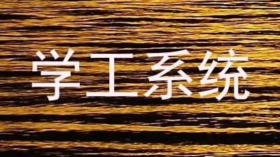 学工系统