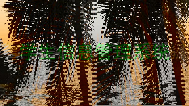 学生信息管理系统