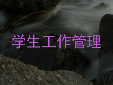 学生工作管理