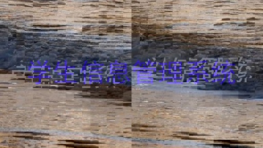 学生信息管理系统