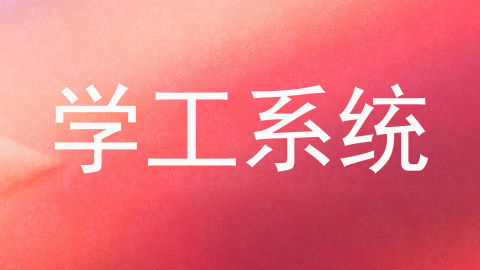 学工系统