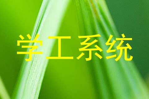 学工系统