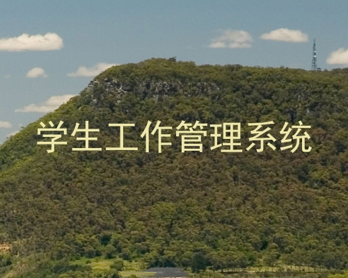 学生工作管理系统