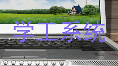 学工系统