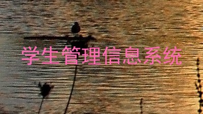 学生管理信息系统