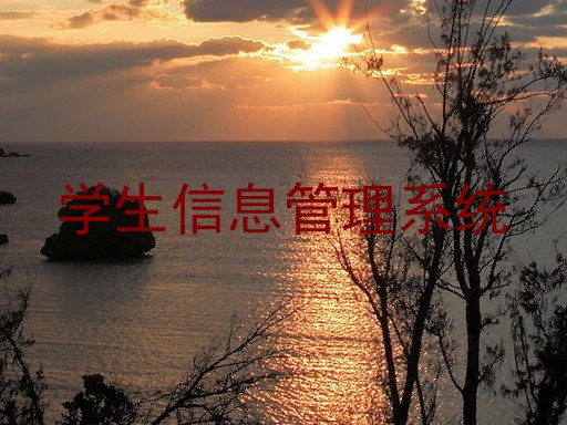 学生信息管理系统