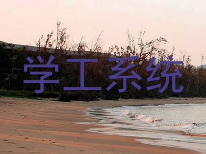 学工系统