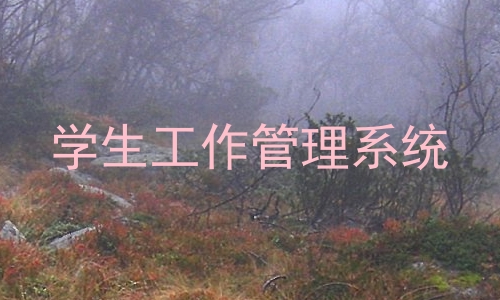 学生工作管理系统