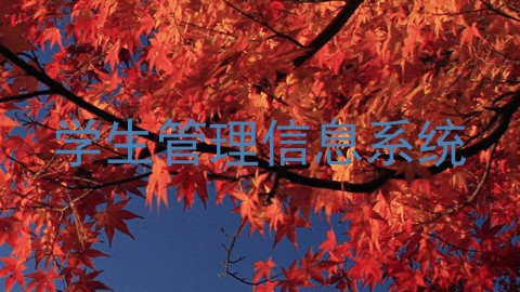 学生管理信息系统