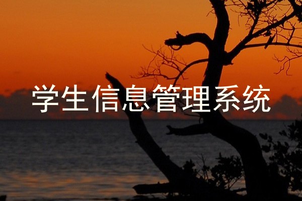 学生信息管理系统