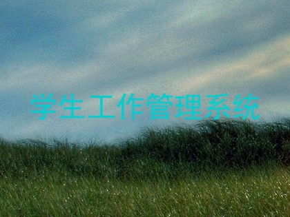学生工作管理系统