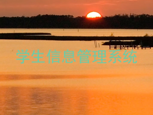 学生信息管理系统