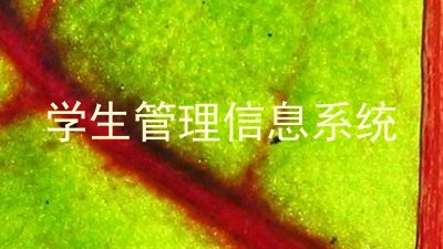 学生管理信息系统