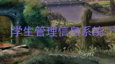 学生管理信息系统