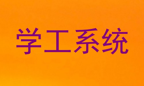 学工系统