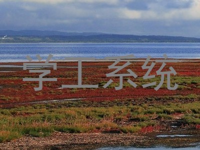 学工系统