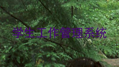 学生工作管理系统