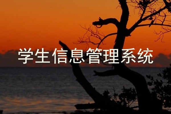 学生信息管理系统