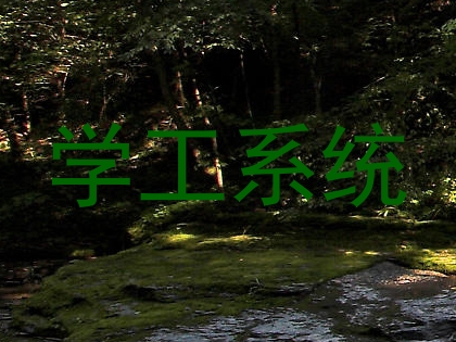 学工系统