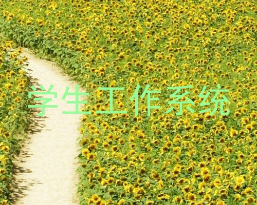学生工作系统