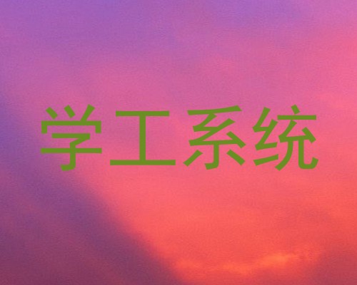 学工系统