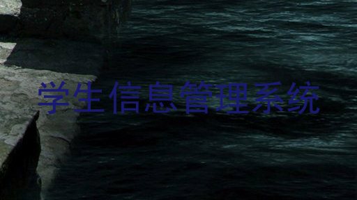 学生信息管理系统