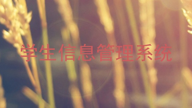 学生信息管理系统