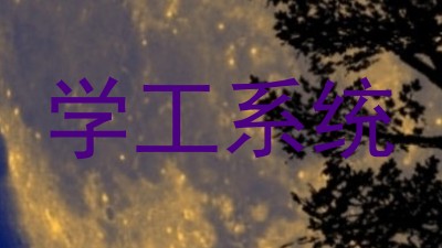 学工系统