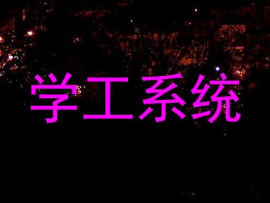 学工系统