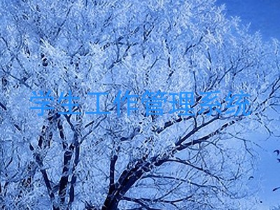 学生工作管理系统