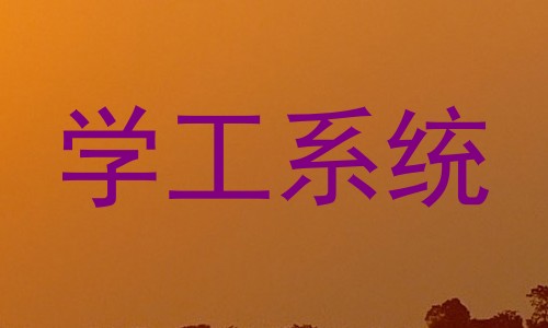 学工系统