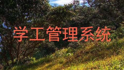 学工管理系统