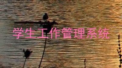 学生工作管理系统