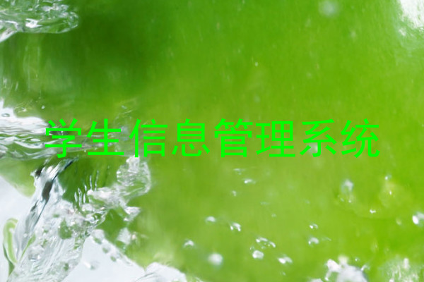 学生信息管理系统