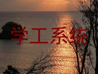 学工系统