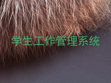 学生工作管理系统