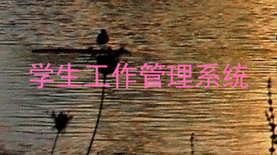学生工作管理系统