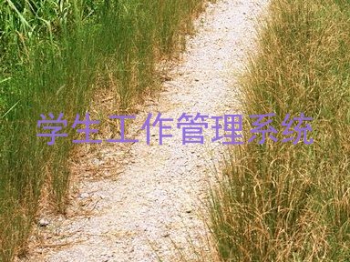 学生工作管理系统
