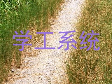 学工系统