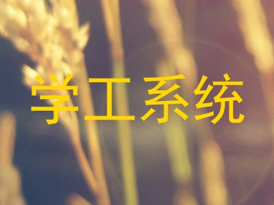 学工系统