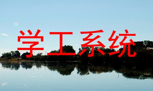 学工系统